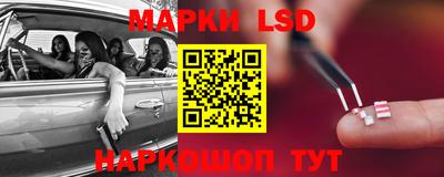 прущие грибы Камышлов