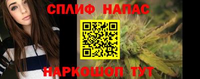 прущие грибы Камышлов