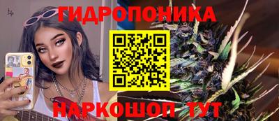 прущие грибы Камышлов