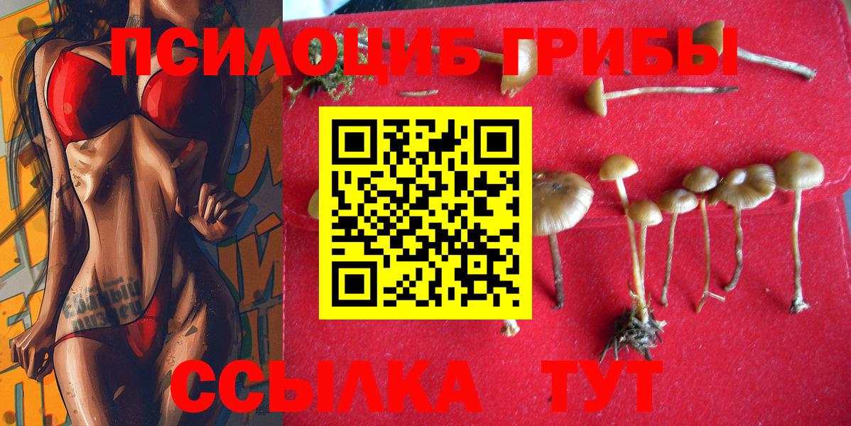 Псилоцибиновые грибы MAGIC MUSHROOMS  Вход с VPN  Псилоцибиновые грибы ЛСД  Курск 